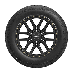 LT235/75R15/6 104/101R IRON ALL COUNTRY AT-X 3PMS BW