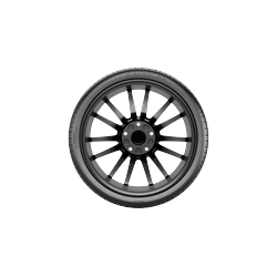 245/50R19XL 105H PIR P ZERO MS(R0) ELT BW
